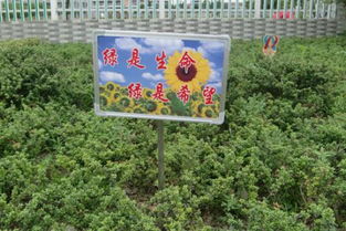保护植物的标语，保护植物的标语牌