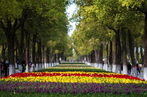 北京鲜花港门票+优惠政策+停车收费