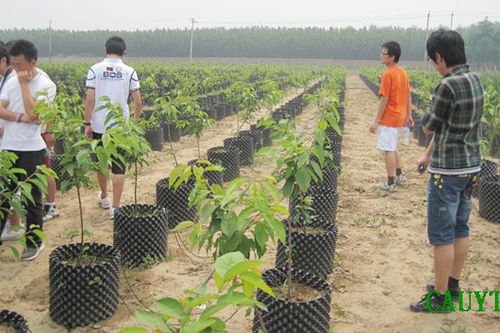 农业工程专业，农业工程专业就业前景