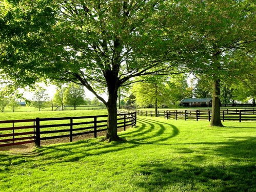 描写环境优美的句子