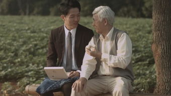 感人，感人电影催泪的电影