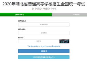湖北人试考试网?