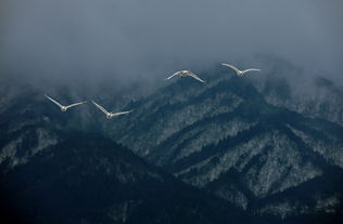 立足之地，立足之地和一席之地的区别