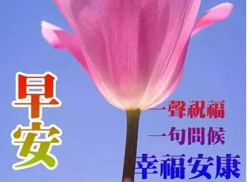 手机早晨短信问候语大全