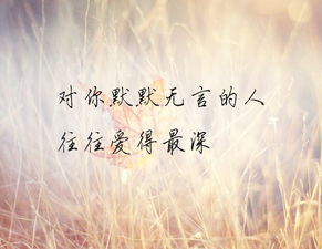 默默无言的意思