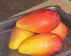 如果吃芒果引起了过敏,该如何去解决?