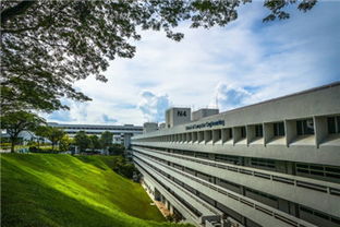 南洋理工大学研究生专业有哪些