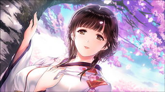 母烂漫用什么修改器能修改