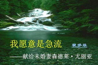 我愿意是激流诗人用了哪些词语将这两类意象联系在一起?