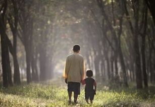 赞美父亲的诗，赞美父亲的诗歌现代诗