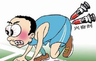 如何查询体育运动员的成绩和等级