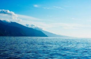 关于描写大海美丽的诗句