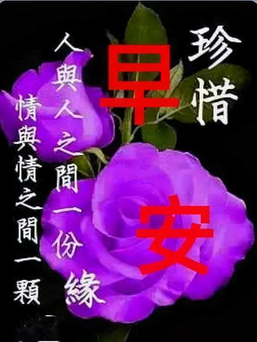 早上好问候语温馨短句