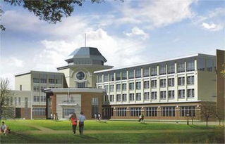 南开大学滨江学院在哪个省哪个城市?