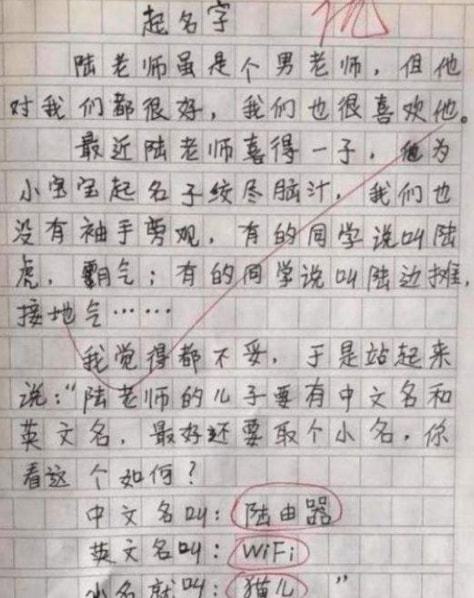 小学班主任教育随笔，小学班主任教育随笔100篇