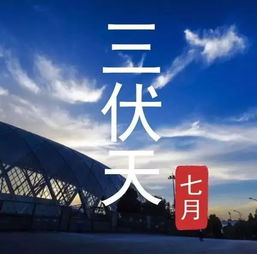 入伏从哪一天开始算起
