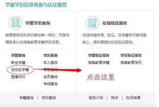 高考报名号是什么