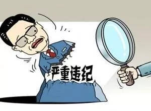 违规违纪行为是指什么?