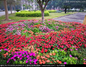 花圃是什么意思