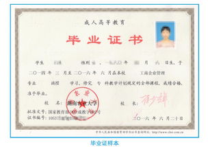 远程教育跟函授的区别有哪些?