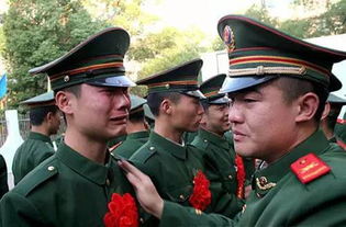 复员是什么意思