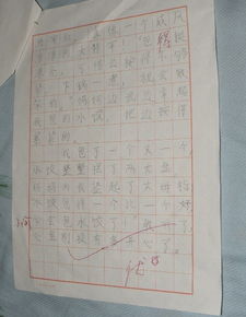 包饺子作文200字，包饺子作文200字三年级