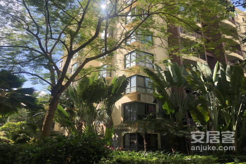 阜康市怡心园小区属于哪个社区