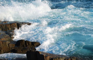 描写海的诗句，描写海的诗句古诗