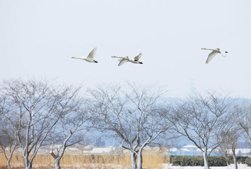 立足之地什么意思?近义词和反义词是什么?