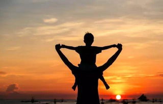 称赞父亲的诗句