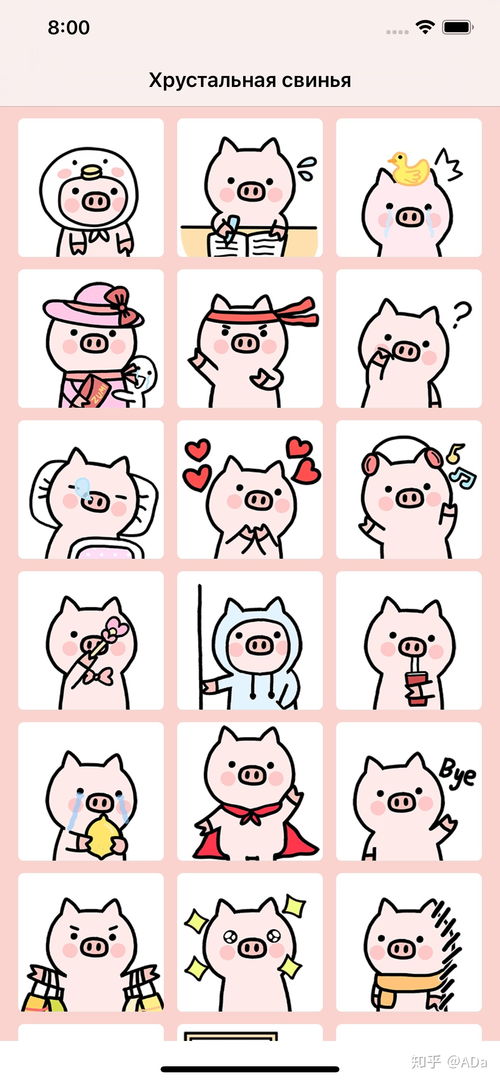 写写我的家作文描写家什么样子
