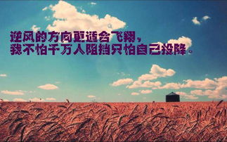 为目标努力奋斗的句子 向目标前进励志正能量短句