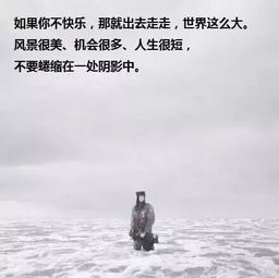 “领悟人生”是什么意思呢?