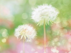 人活得简单一点的感悟，人活得简单一点的感悟图片