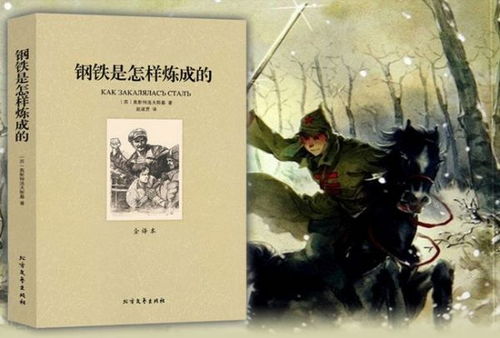 钢铁是怎样炼成的内容梗概，钢铁是怎样炼成的内容梗概100字