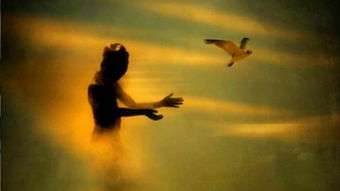 在世间，在世间粤语叫什么歌