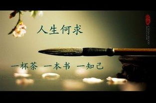 领悟人生的精辟语句 人生感悟的句子