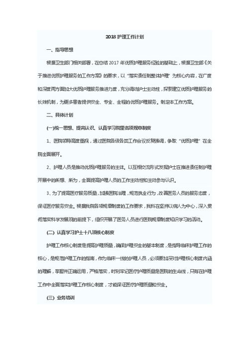护士个人的工作计划