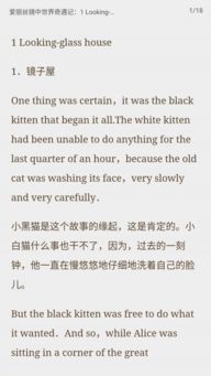 小说的英语是什么?