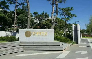 延世大学录取结果怎么查