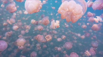 歌词在世间是什么歌