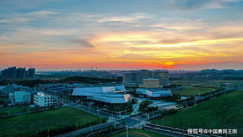 芦淞区属于哪个市 芦淞区是哪个市的