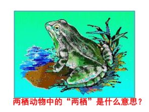 八年级下学期生物重要考点总结梳理