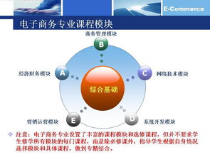 电子商务专业需要学习哪些课程?