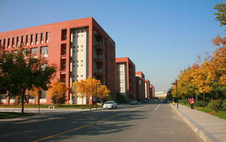 杭电研究生毕业难嘛