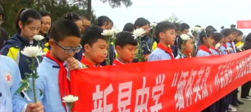 单位清明节扫墓活动方案
