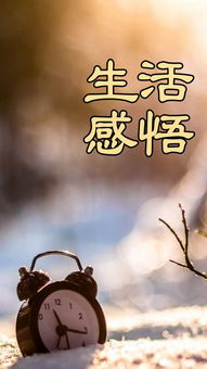 生活的感悟，生活的感悟作文