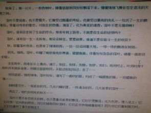 中学生记叙文600字