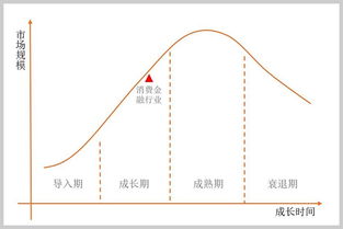 生命周期消费理论，生命周期消费理论名词解释