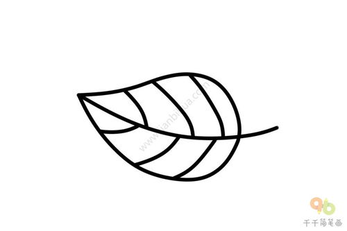 树叶的简笔画，树叶的简笔画图片大全
